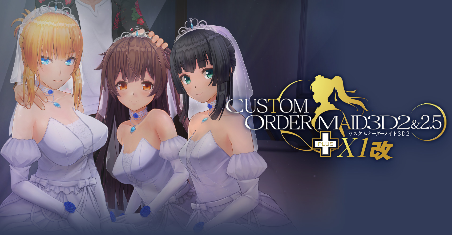 Custom order maid steam фото 17